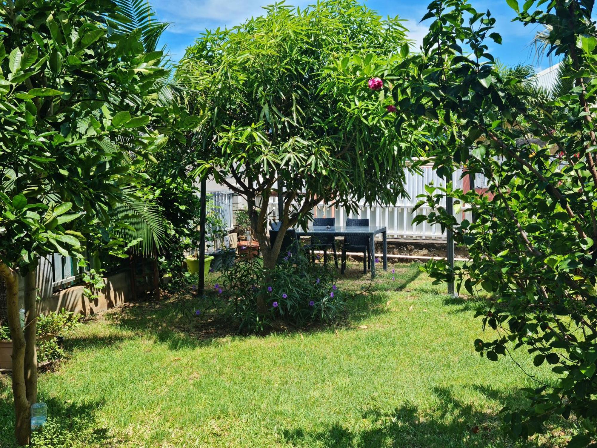 Zoizo Vert - Studio Au Calme Avec Jardin - St Leu Saint-Leu Extérieur photo